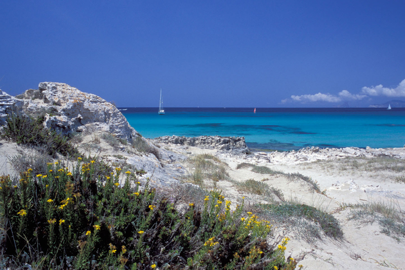 sailing holiday cilento